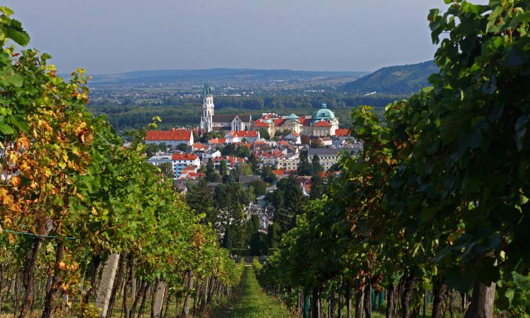 Blick durch die Weingärten auf das Stift Klosterneuburg