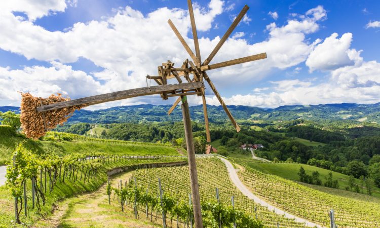 Weinland Südsteiermark, Österreich