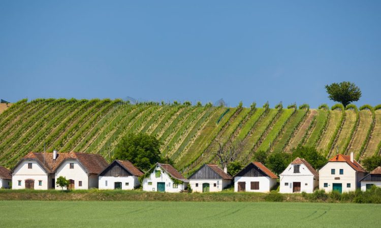 AdobeStock_530066006_web