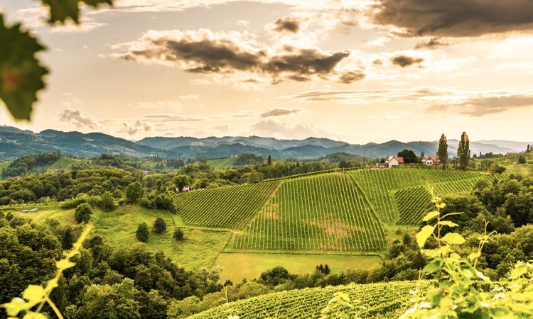 Austria, south styria travel destination. Tourist spot for vine lovers. Sunset landscape
